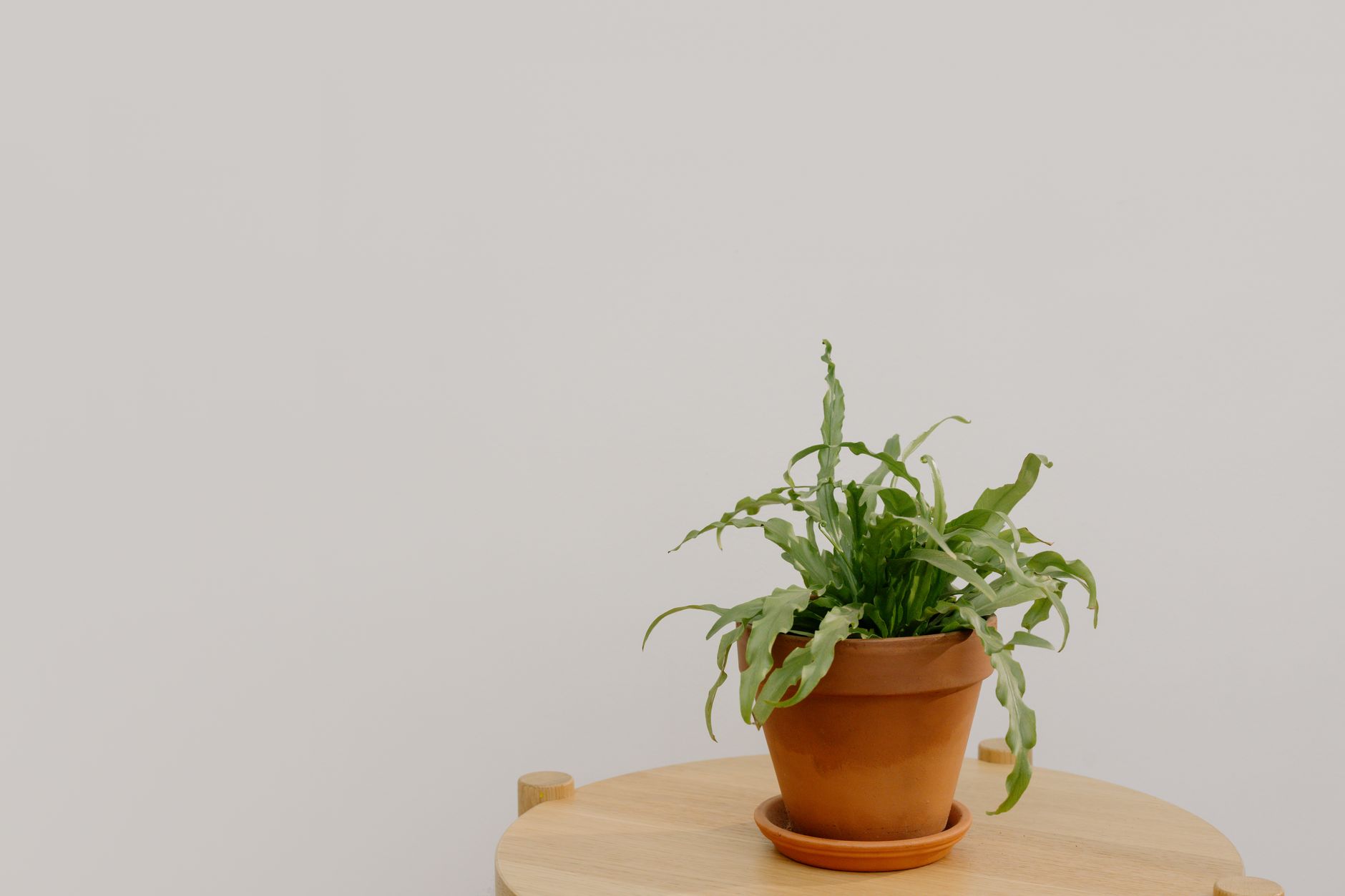 A calm, welcoming consultation space